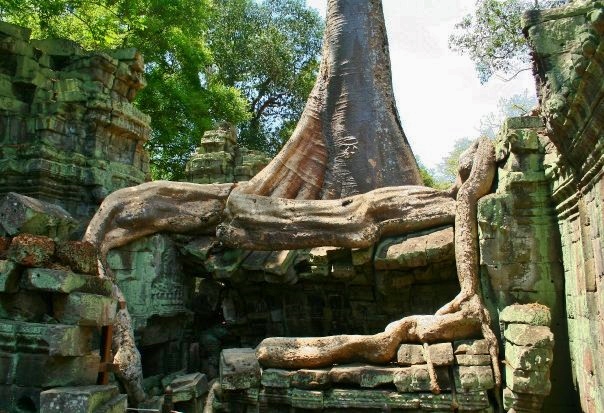 Ta Prohm - Eastern Angkor
