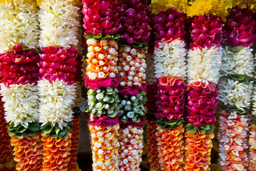 Dadar Flower Market, Mumbai, India