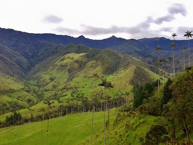 trek-mi-sentieri-mondo-colombia-valle-cocora-palme