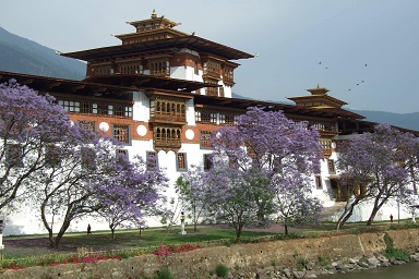 Bhutan Rinchen