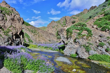 trek-mi-sentieri-mondo-mongolia-gobi-deserto-valle-yolin-am