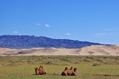 trek-mi-sentieri-mondo-mongolia-gobi-deserto-dune-khongorin-els