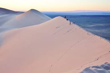 trek-mi-sentieri-mondo-mongolia-gobi-deserto-dune-khongorin-els